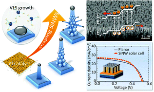 Graphical abstract: Functionalized aluminum-catalyzed silicon nanowire formation and radial junction photovoltaic devices