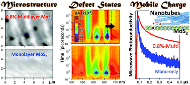 Graphical abstract: Interplay between microstructure, defect states, and mobile charge generation in transition metal dichalcogenide heterojunctions