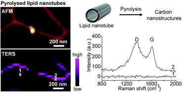 Graphical abstract: Lipid nanotubes as an organic template for the fabrication of carbon nanostructures by pyrolysis