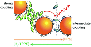 Graphical abstract: Selective switching of multiple plexcitons in colloidal materials: directing the energy flow at the nanoscale