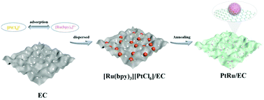 Graphical abstract: Strong electrostatic adsorption-engaged fabrication of sub-3.0 nm PtRu alloy nanoparticles as synergistic electrocatalysts toward hydrogen evolution