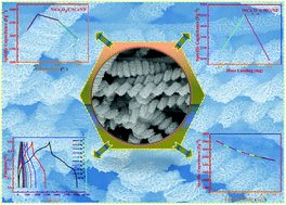 Graphical abstract: Carbon nanocoils decorated with a porous NiCo2O4 nanosheet array as a highly efficient electrode for supercapacitors