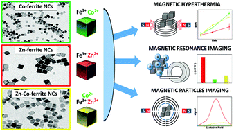 Graphical abstract: Di- and tri-component spinel ferrite nanocubes: synthesis and their comparative characterization for theranostic applications