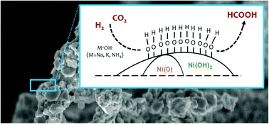 Graphical abstract: An air-stable, reusable Ni@Ni(OH)2 nanocatalyst for CO2/bicarbonate hydrogenation to formate