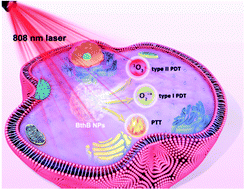 Graphical abstract: Single molecular nanomedicine with NIR light-initiated superoxide radical, singlet oxygen and thermal generation for hypoxia-overcoming cancer therapy