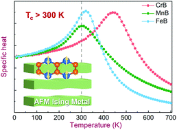 Graphical abstract: Discovery of intrinsic two-dimensional antiferromagnets from transition-metal borides
