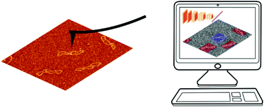 Graphical abstract: Enabling autonomous scanning probe microscopy imaging of single molecules with deep learning