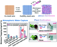 Graphical abstract: Janus membrane with novel directional water transport capacity for efficient atmospheric water capture