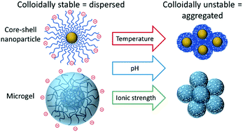 Graphical abstract: Multi-stimuli-responsive aggregation of nanoparticles driven by the manipulation of colloidal stability