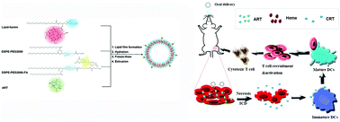 Graphical abstract: Hemin-lipid assembly as an artemisinin oral delivery system for enhanced cancer chemotherapy and immunotherapy