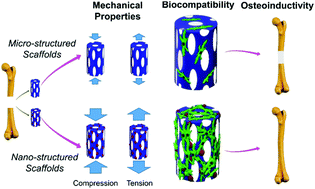 Graphical abstract: Review of emerging nanotechnology in bone regeneration: progress, challenges, and perspectives