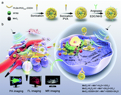Graphical abstract: Multifunctional nanozyme for multimodal imaging-guided enhanced sonodynamic therapy by regulating the tumor microenvironment