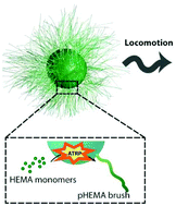 Graphical abstract: Surface polymerization induced locomotion