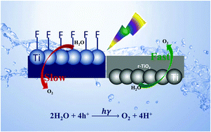 Graphical abstract: Rutile TiO2 single crystals delivering enhanced photocatalytic oxygen evolution performance