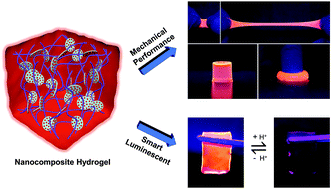 Graphical abstract: Smart luminescent hydrogel with superior mechanical performance based on polymer networks embedded with lanthanide containing clay nanocomposites