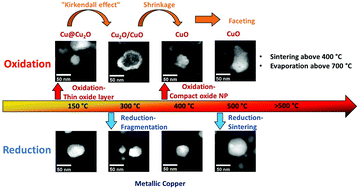 Graphical abstract: In situ STEM study on the morphological evolution of copper-based nanoparticles during high-temperature redox reactions
