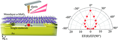 Graphical abstract: Anisotropic acoustic phonon polariton-enhanced infrared spectroscopy for single molecule detection