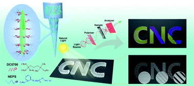 Graphical abstract: Additive printing of recyclable anti-counterfeiting patterns with sol–gel cellulose nanocrystal inks