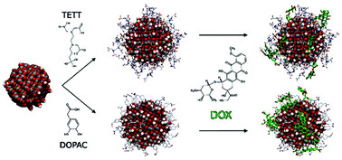 Graphical abstract: Exploring the drug loading mechanism of photoactive inorganic nanocarriers through molecular dynamics simulations