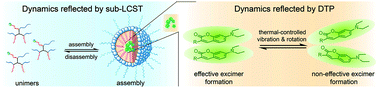 Graphical abstract: Understanding functional group and assembly dynamics in temperature responsive systems leads to design principles for enzyme responsive assemblies