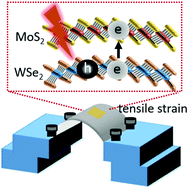 Graphical abstract: Observation of robust charge transfer under strain engineering in two-dimensional MoS2-WSe2 heterostructures