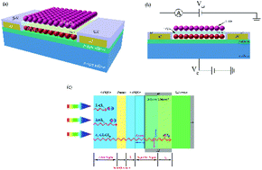 Graphical abstract: A silicon-based PbSe quantum dot near-infrared photodetector with spectral selectivity