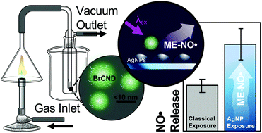 Graphical abstract: Plasmonic enhancement of nitric oxide generation