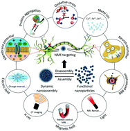 Graphical abstract: Microenvironment-tailored nanoassemblies for the diagnosis and therapy of neurodegenerative diseases