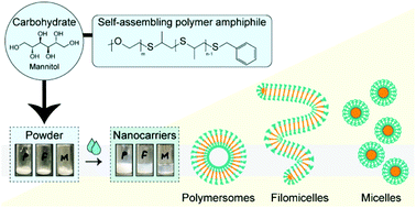 Graphical abstract: Just add water: hydratable, morphologically diverse nanocarrier powders for targeted delivery