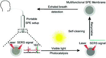 Graphical abstract: Ultrasensitive SERS detection of exhaled biomarkers of lung cancer using a multifunctional solid phase extraction membrane