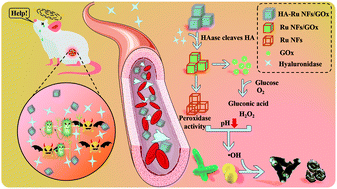 Graphical abstract: A ruthenium nanoframe/enzyme composite system as a self-activating cascade agent for the treatment of bacterial infections