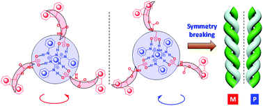 Graphical abstract: Symmetry breaking-induced double-strand helices in H-bonded coassembly