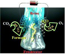 Graphical abstract: Electrocatalytic desalination with CO2 reduction and O2 evolution