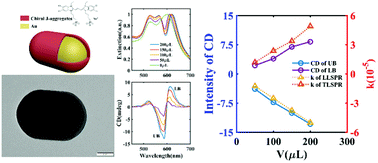 Graphical abstract: Diverse axial chiral assemblies of J-aggregates in plexcitonic nanoparticles