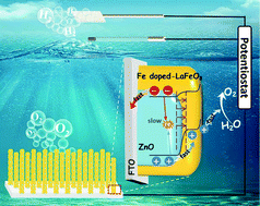 Graphical abstract: The enhanced water splitting activity of a ZnO-based photoanode by modification with self-doped lanthanum ferrite