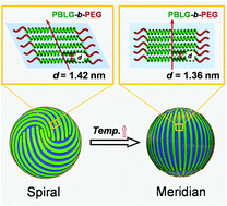 Graphical abstract: Spiral- and meridian-patterned spheres self-assembled from block copolymer/homopolymer binary systems