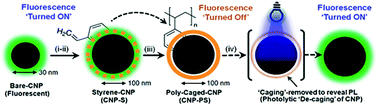Graphical abstract: Luminescence switching in polymerically confined carbon nanoparticles triggered by UV-light