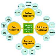 Graphical abstract: Bioresponsive nanomedicines based on dynamic covalent bonds