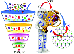 Graphical abstract: High-throughput screening of single metal atom anchored on N-doped boron phosphide for N2 reduction