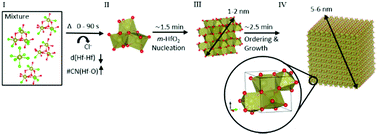 Graphical abstract: Unravelling the complex formation mechanism of HfO2 nanocrystals using in situ pair distribution function analysis