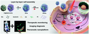 Graphical abstract: A multifunctional nanodiamond-based nanoplatform for the enhanced mild-temperature photothermal/chemo combination therapy of triple negative breast cancer via an autophagy regulation strategy