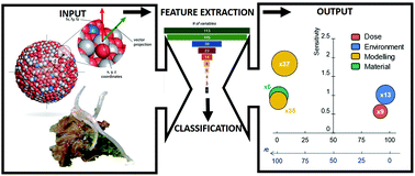 Graphical abstract: Machine learning and materials modelling interpretation of in vivo toxicological response to TiO2 nanoparticles library (UV and non-UV exposure)
