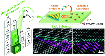 Graphical abstract: Growth mechanism and atomic structure of group-IIA compound-promoted CVD-synthesized monolayer transition metal dichalcogenides
