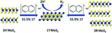 Graphical abstract: MoS2 stacking matters: 3R polytype significantly outperforms 2H MoS2 for the hydrogen evolution reaction