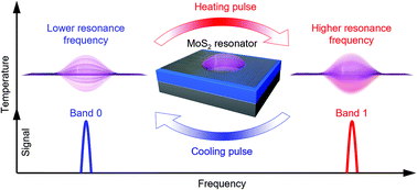 Graphical abstract: Thermal hysteresis controlled reconfigurable MoS2 nanomechanical resonators
