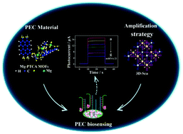 Graphical abstract: Novel optoelectronic metal organic framework material perylene tetracarboxylate magnesium: preparation and biosensing