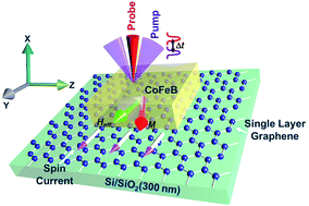 Graphical abstract: Femtosecond laser-induced spin dynamics in single-layer graphene/CoFeB thin films