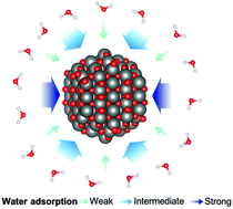 Graphical abstract: Surface morphology controls water dissociation on hydrated IrO2 nanoparticles