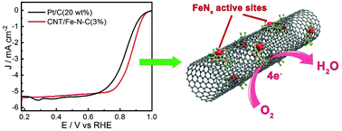Graphical abstract: Ionic liquids as precursors for Fe–N doped carbon nanotube electrocatalysts for the oxygen reduction reaction