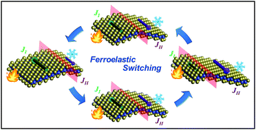 Graphical abstract: Two-dimensional ferroelasticity and ferroelastic strain controllable anisotropic transport properties in CuTe monolayer